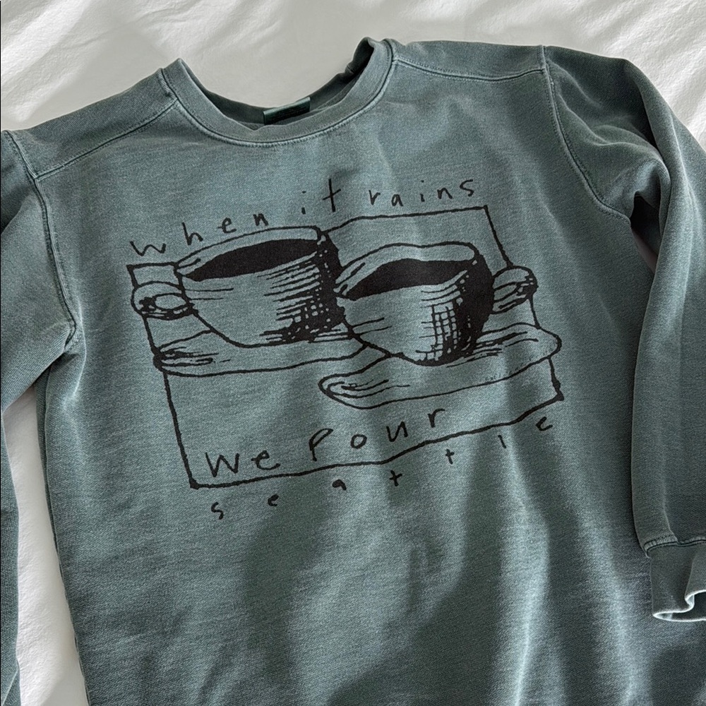 Comfort Colors Teal/Sage Green Sweatshirt with Graphic Print
